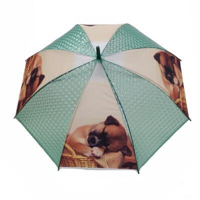 Vystřelovací deštník Puppy zelený - 1