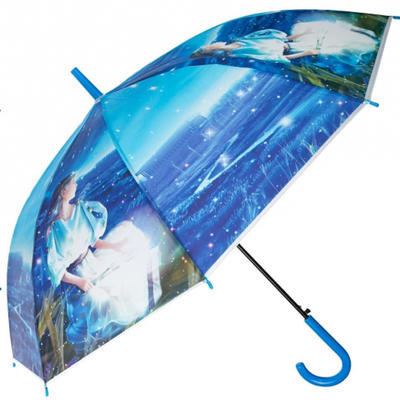 Deštník se znamením Panna - 2